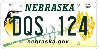 NE license plate DQS124