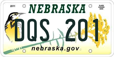 NE license plate DQS201