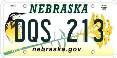NE license plate DQS213