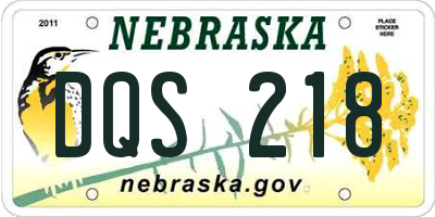 NE license plate DQS218