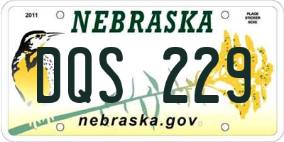 NE license plate DQS229