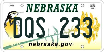 NE license plate DQS233