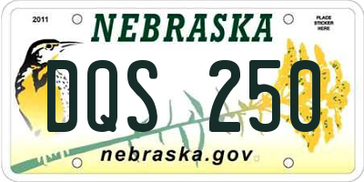 NE license plate DQS250