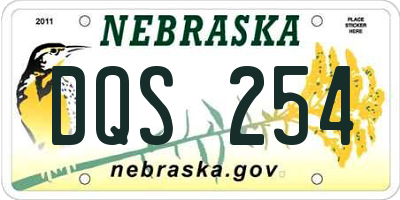 NE license plate DQS254