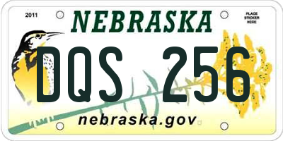 NE license plate DQS256