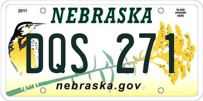 NE license plate DQS271