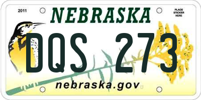 NE license plate DQS273
