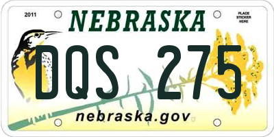 NE license plate DQS275