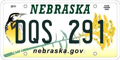 NE license plate DQS291