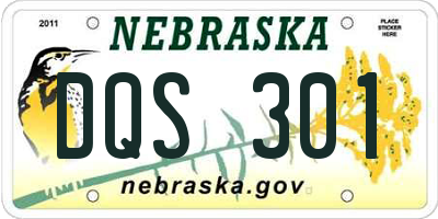 NE license plate DQS301