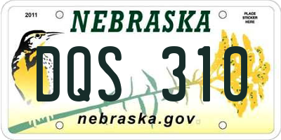 NE license plate DQS310
