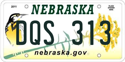 NE license plate DQS313