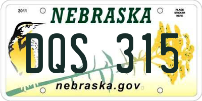 NE license plate DQS315