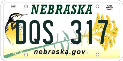 NE license plate DQS317