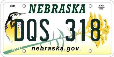 NE license plate DQS318