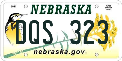 NE license plate DQS323