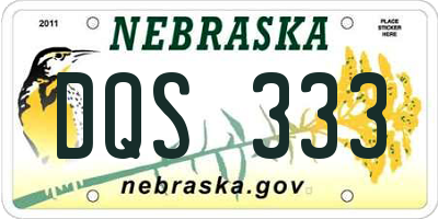 NE license plate DQS333