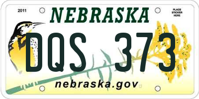NE license plate DQS373