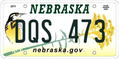 NE license plate DQS473