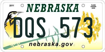 NE license plate DQS573