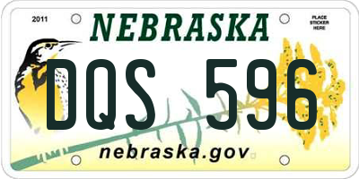 NE license plate DQS596