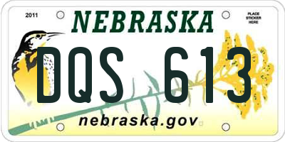 NE license plate DQS613