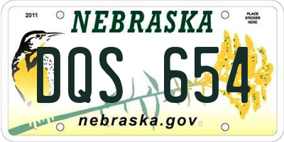 NE license plate DQS654