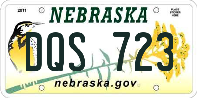 NE license plate DQS723