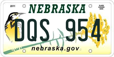 NE license plate DQS954