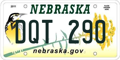 NE license plate DQT290