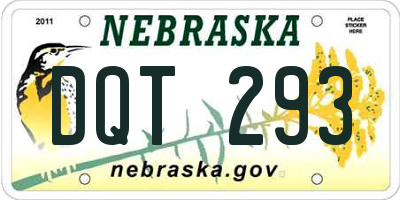 NE license plate DQT293