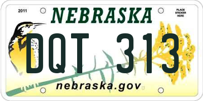 NE license plate DQT313