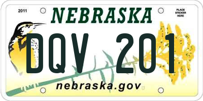 NE license plate DQV201
