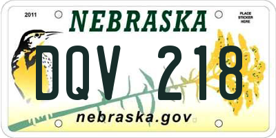 NE license plate DQV218