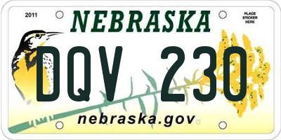 NE license plate DQV230
