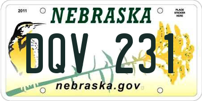NE license plate DQV231