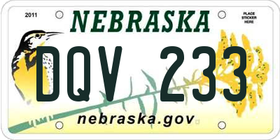NE license plate DQV233