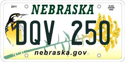 NE license plate DQV250
