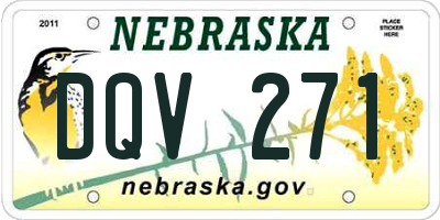 NE license plate DQV271