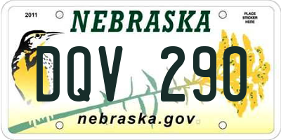 NE license plate DQV290