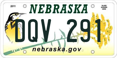 NE license plate DQV291
