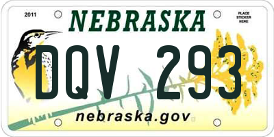 NE license plate DQV293