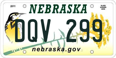 NE license plate DQV299