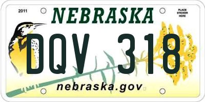 NE license plate DQV318
