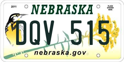 NE license plate DQV515