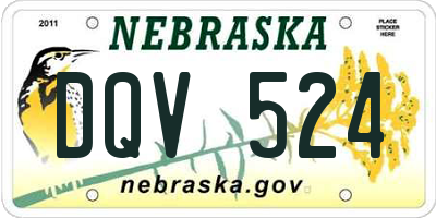 NE license plate DQV524