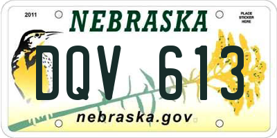 NE license plate DQV613
