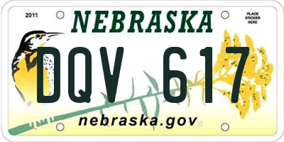NE license plate DQV617