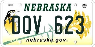 NE license plate DQV623