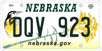 NE license plate DQV923